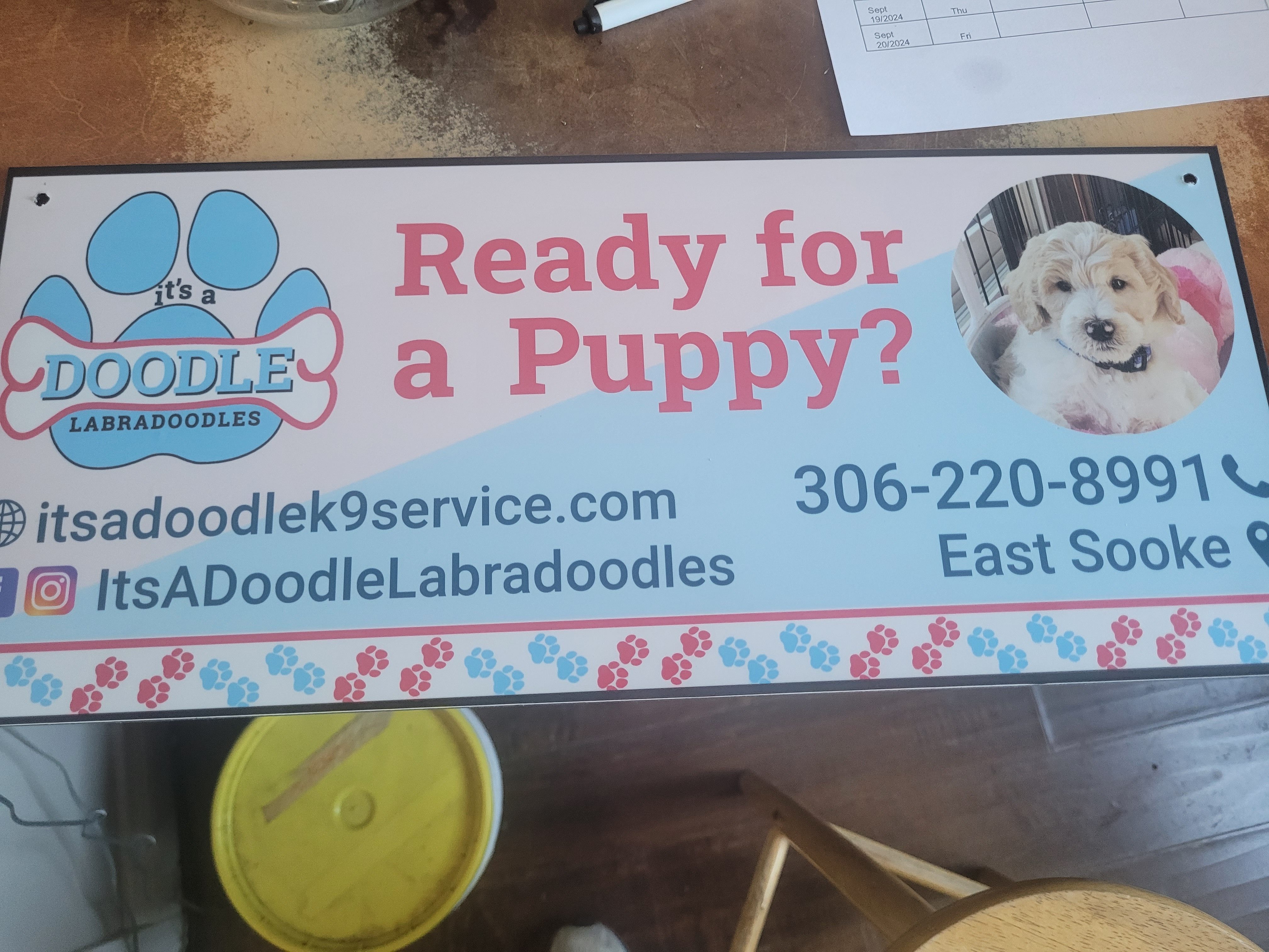 advertising 3 puppy breeding ad