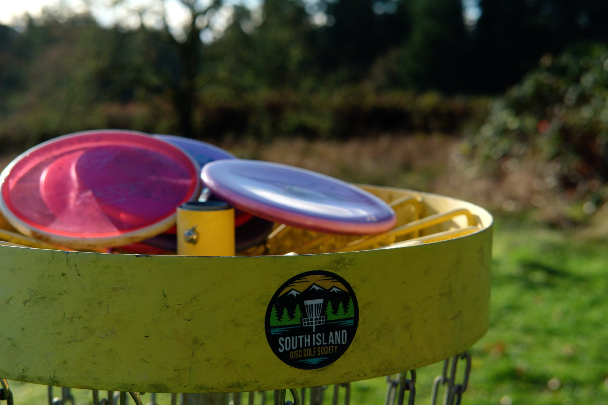 disc golf