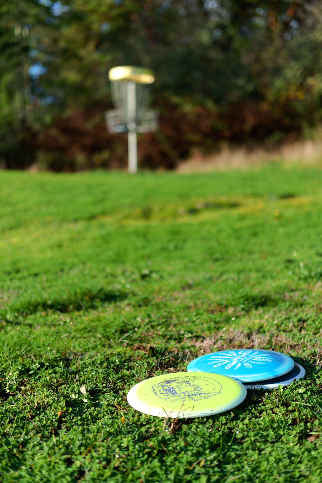 disc golf